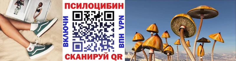 OMG ТОР Славянск-на-Кубани Псилоцибиновые грибы мицелий