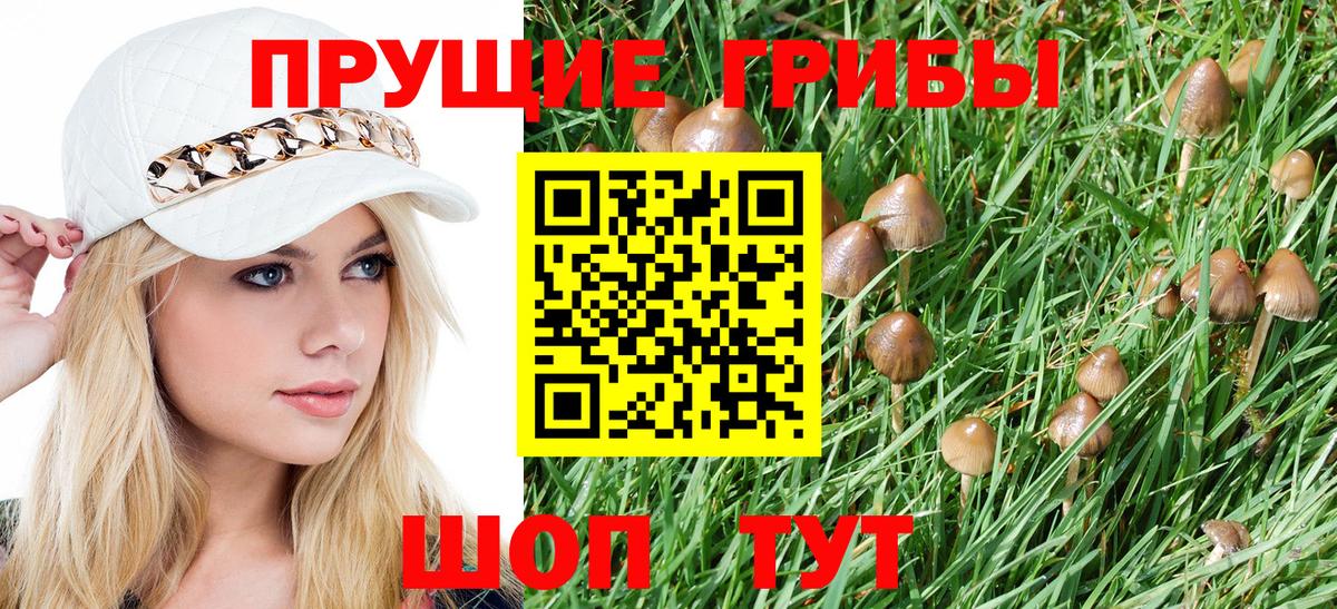 Галлюциногенные грибы MAGIC MUSHROOMS Славянск-на-Кубани