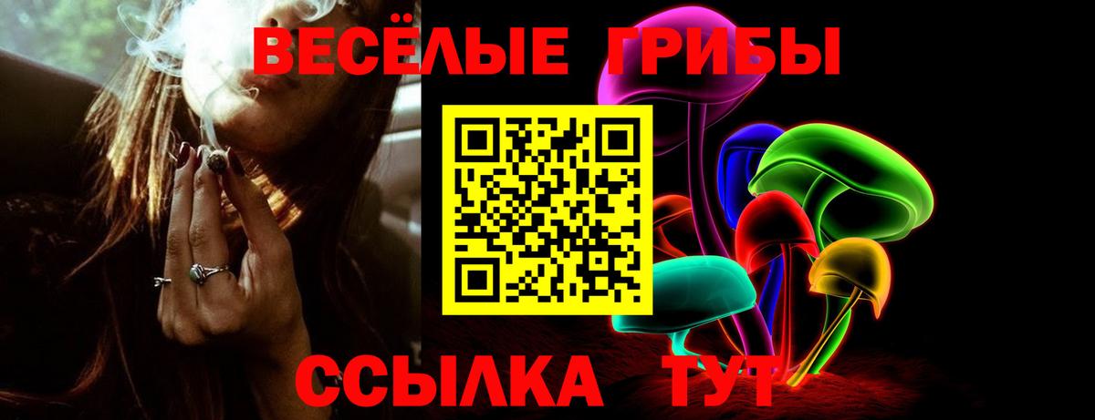 Славянск-на-Кубани  Псилоцибиновые грибы Psilocybine cubensis  Псилоцибиновые грибы MAGIC MUSHROOMS  Вход с VPN 